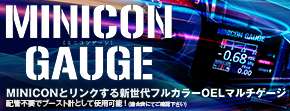 ミニコンゲージ